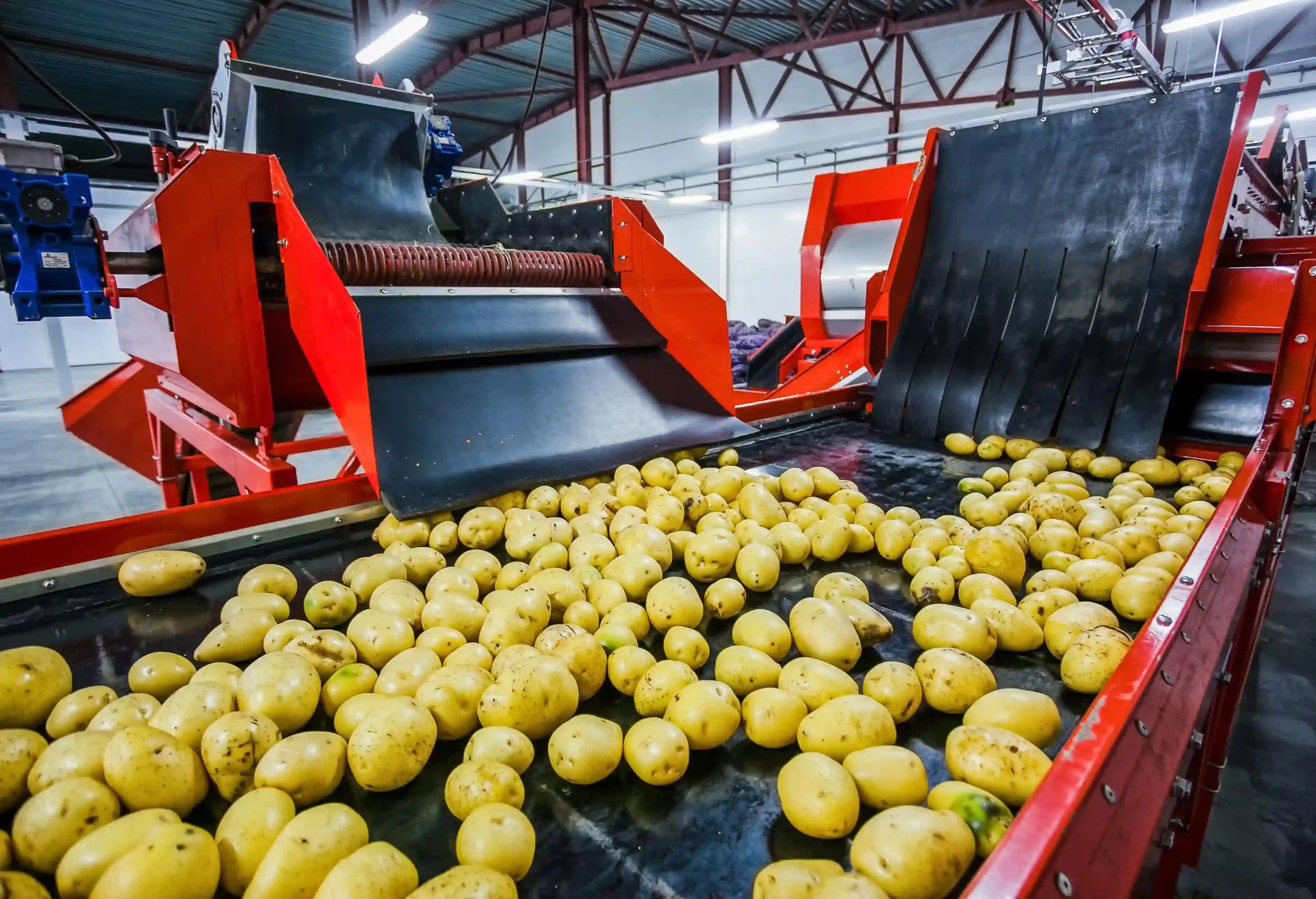 Potatoes (compressed)
